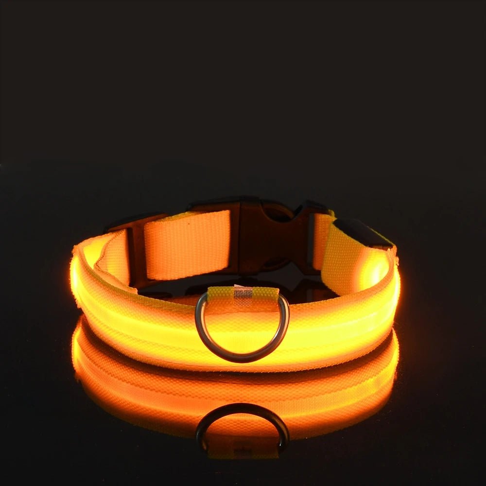 Nylon LED Night Safety Flashing Glow In The Dark Dog Leash Dogs Luminous Fluorescent Pet Dog Collar - Cozy & Co. Market