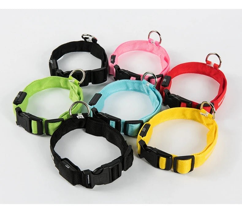 Nylon LED Night Safety Flashing Glow In The Dark Dog Leash Dogs Luminous Fluorescent Pet Dog Collar - Cozy & Co. Market