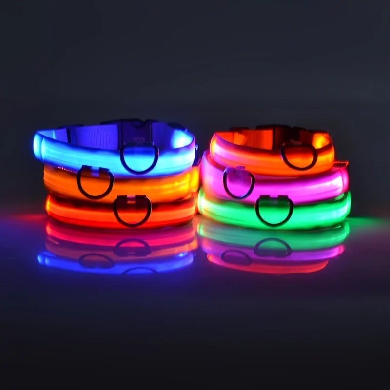 Nylon LED Night Safety Flashing Glow In The Dark Dog Leash Dogs Luminous Fluorescent Pet Dog Collar - Cozy & Co. Market