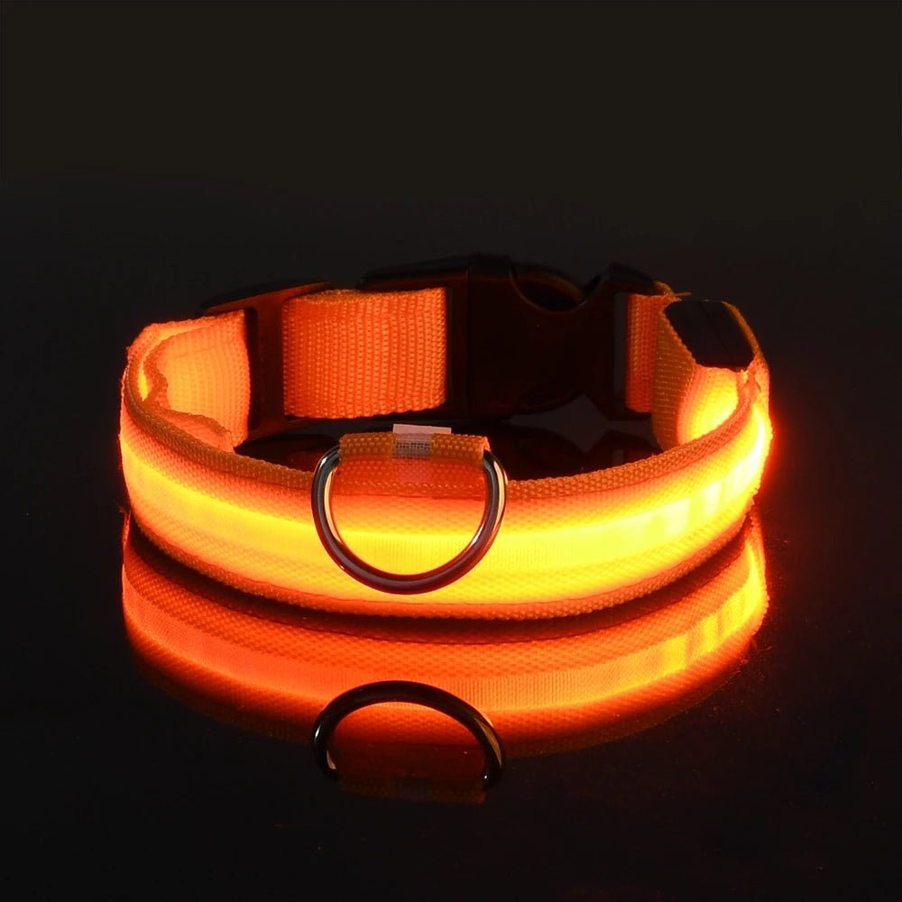 Nylon LED Night Safety Flashing Glow In The Dark Dog Leash Dogs Luminous Fluorescent Pet Dog Collar - Cozy & Co. Market