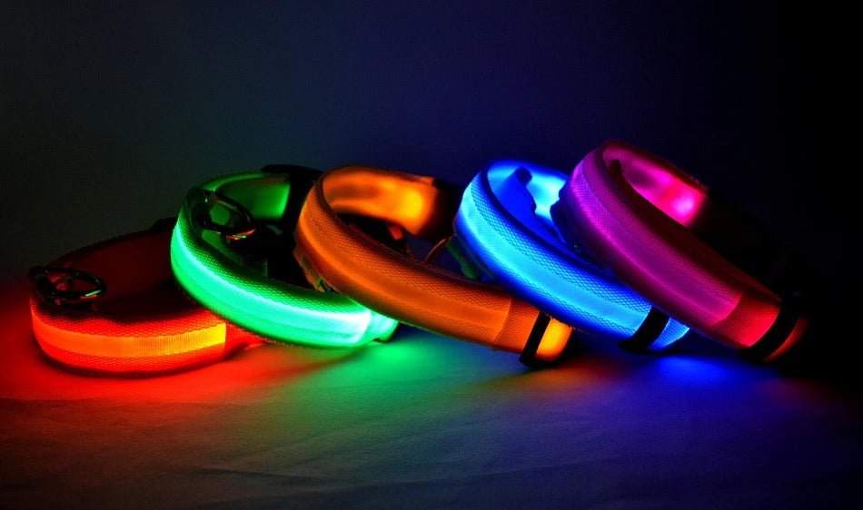 Nylon LED Night Safety Flashing Glow In The Dark Dog Leash Dogs Luminous Fluorescent Pet Dog Collar - Cozy & Co. Market