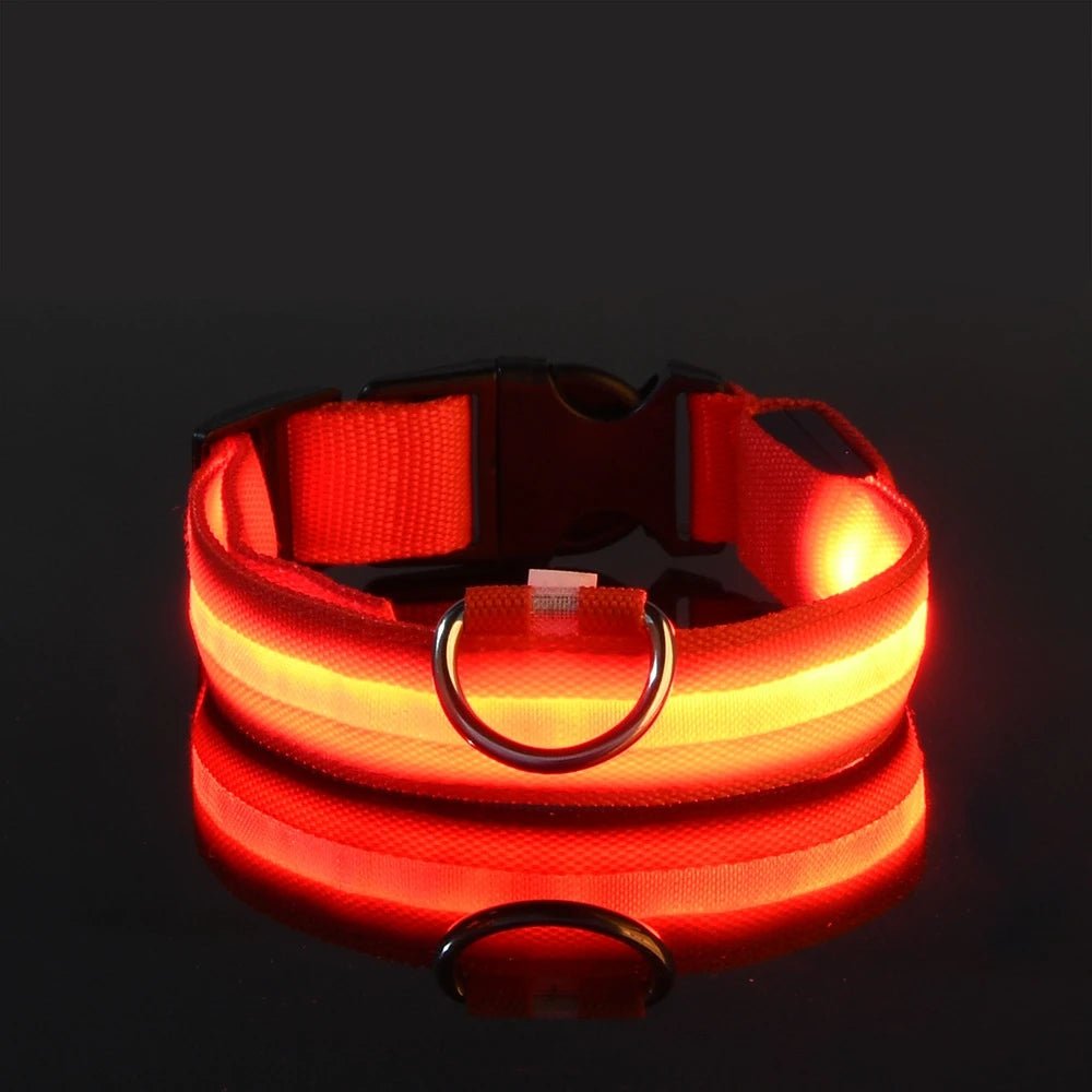 Nylon LED Night Safety Flashing Glow In The Dark Dog Leash Dogs Luminous Fluorescent Pet Dog Collar - Cozy & Co. Market