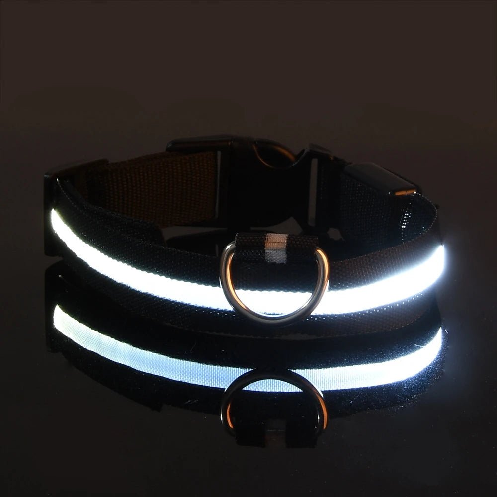 Nylon LED Night Safety Flashing Glow In The Dark Dog Leash Dogs Luminous Fluorescent Pet Dog Collar - Cozy & Co. Market