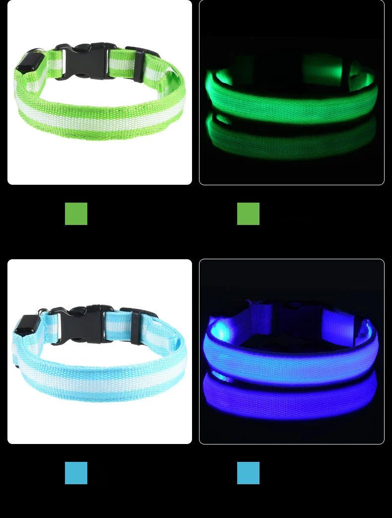Nylon LED Night Safety Flashing Glow In The Dark Dog Leash Dogs Luminous Fluorescent Pet Dog Collar - Cozy & Co. Market
