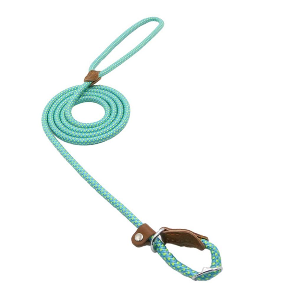 Nylon Pup Set - Cozy & Co. Market