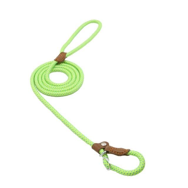 Nylon Pup Set - Cozy & Co. Market