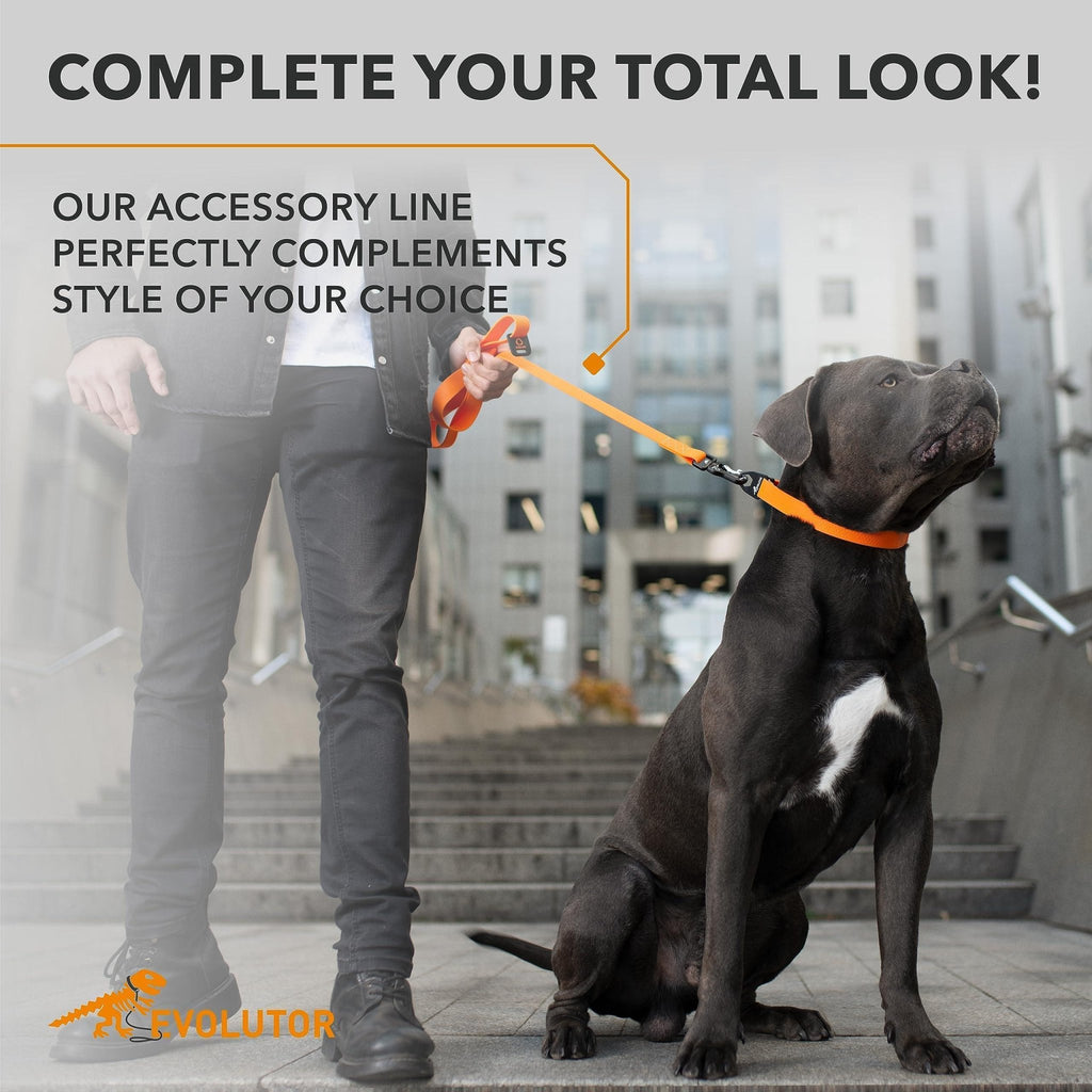 Orange Extra Heavy Duty Dog Leash 4 Ft x 1 in for Large Medium and Small Dogs - Cozy & Co. Market