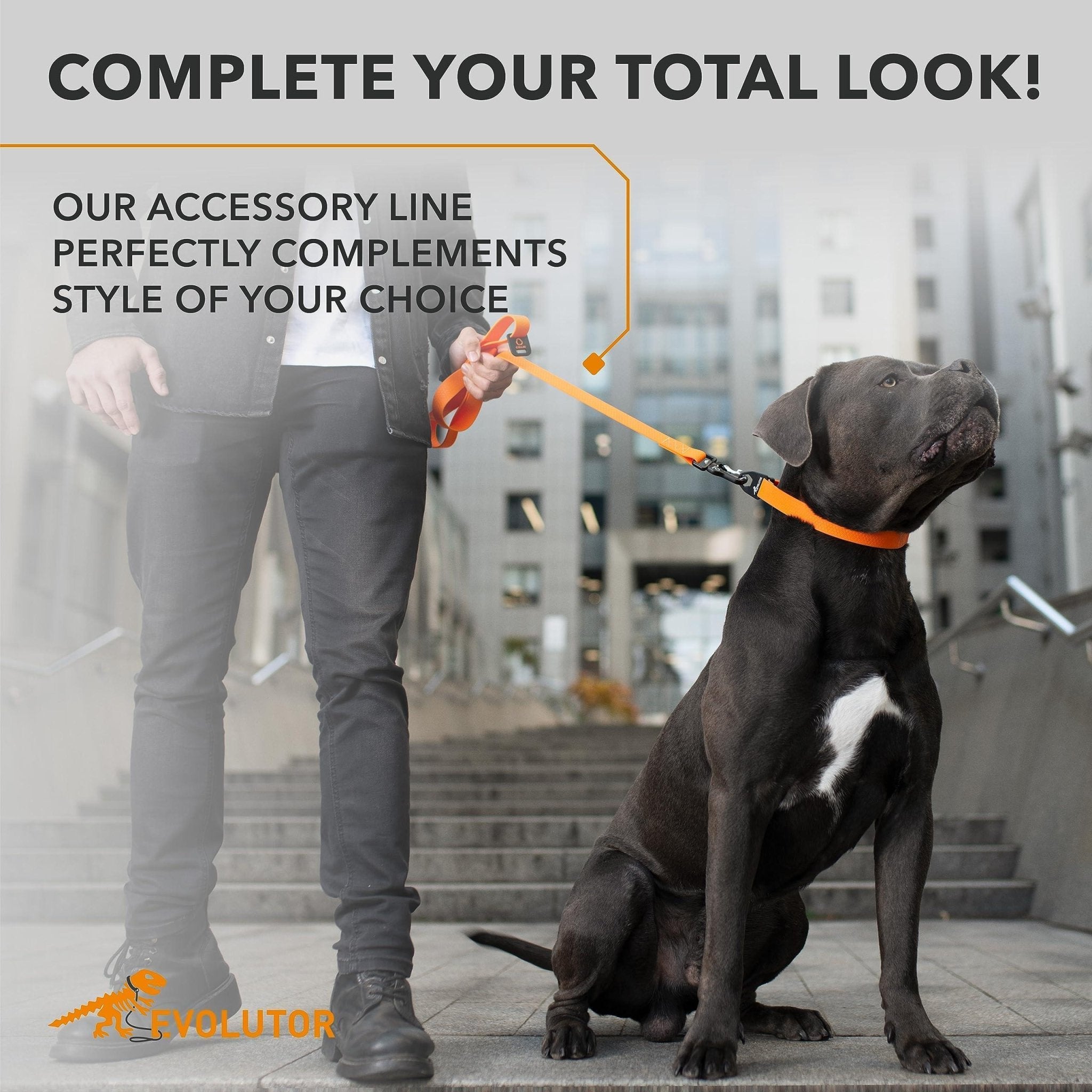 Orange Extra Heavy Duty Dog Leash 4 Ft x 1 in for Large Medium and Small Dogs - Cozy & Co. Market