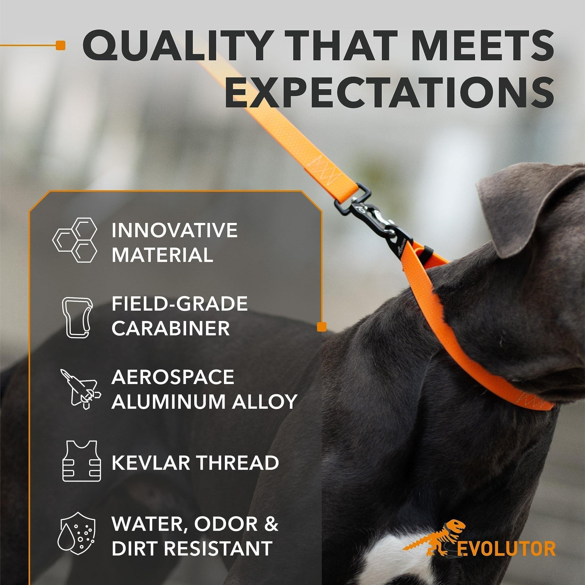 Orange Extra Heavy Duty Dog Leash 4 Ft x 1 in for Large Medium and Small Dogs - Cozy & Co. Market
