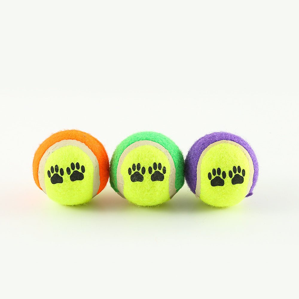 Outdoor Pet Throwing Cue Dog Training Toy - Cozy & Co. Market