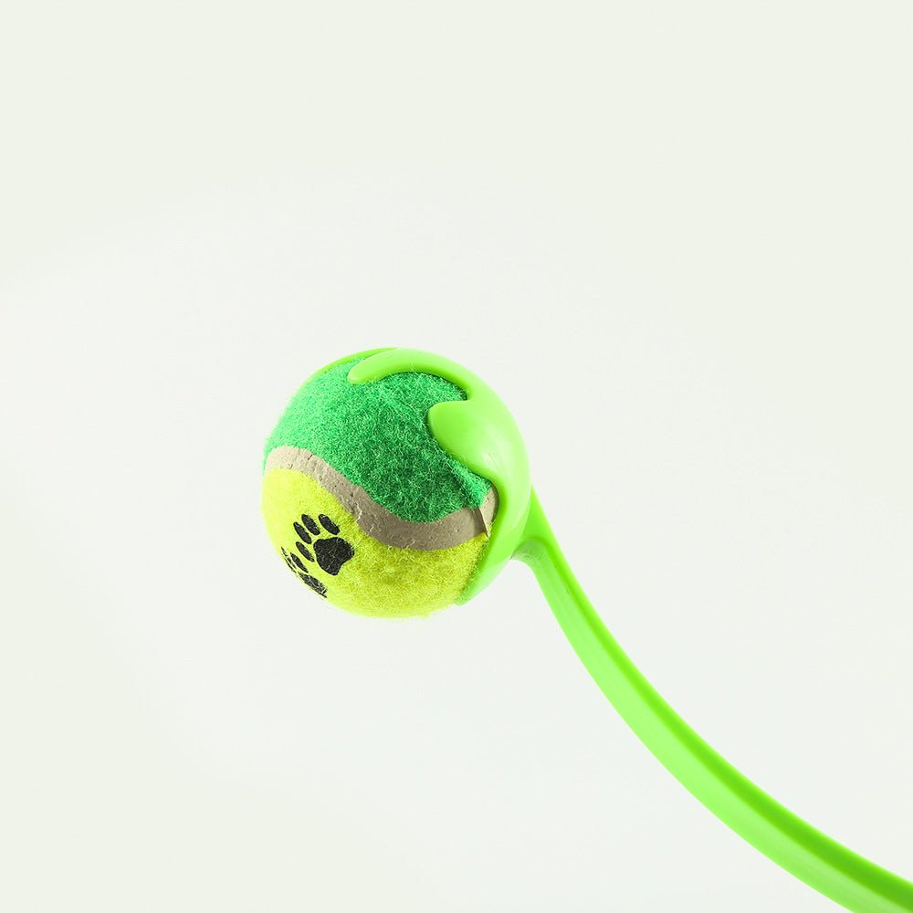 Outdoor Pet Throwing Cue Dog Training Toy - Cozy & Co. Market