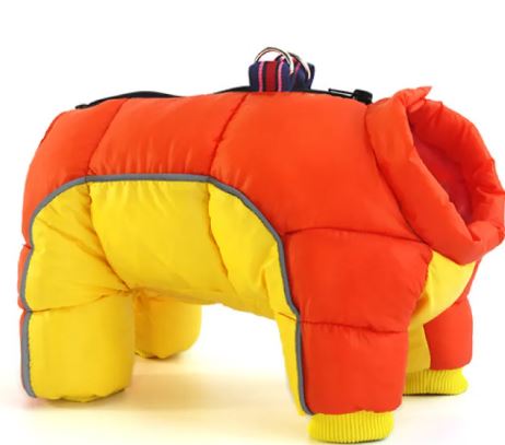 Pet Dog Winter Clothes - Cozy & Co. Market