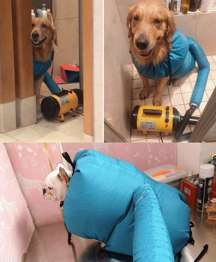 Pet Drying Box, Dryer, and Drying Bag - Cozy & Co. Market
