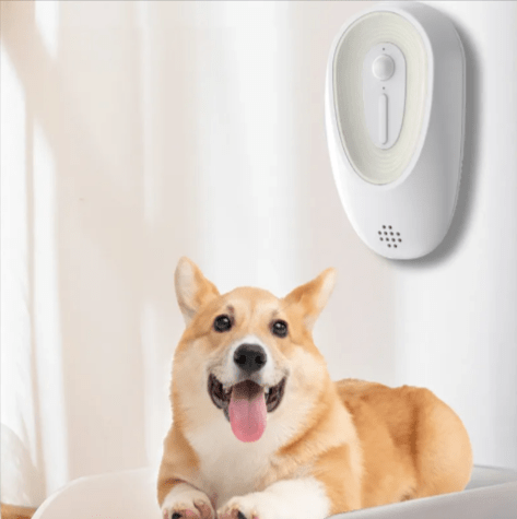 Pet Odor Eliminator for Litter Boxes - Cozy & Co. Market