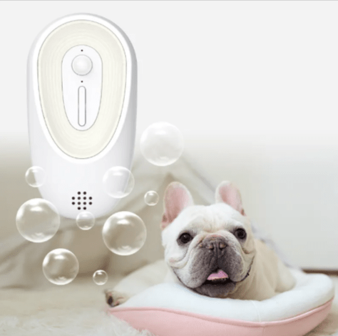 Pet Odor Eliminator for Litter Boxes - Cozy & Co. Market