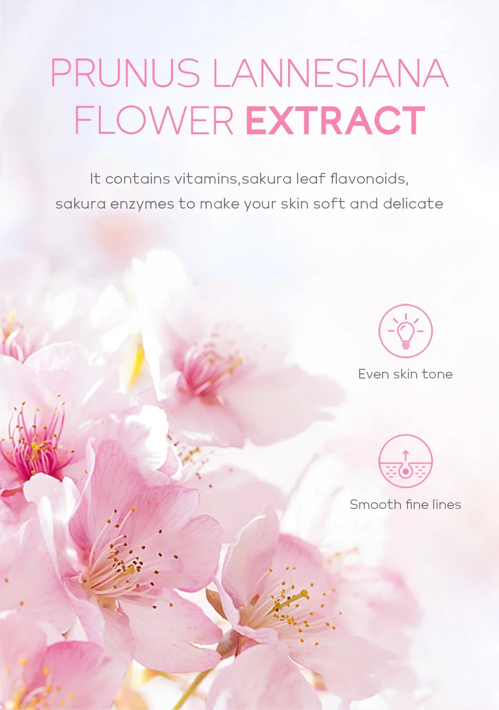 Sakura Face Deep Cleaning Exfoliating Gel Skin Care Whitening Moisturizer Repair Facial Scrub Skin Care 60g - Cozy & Co. Market