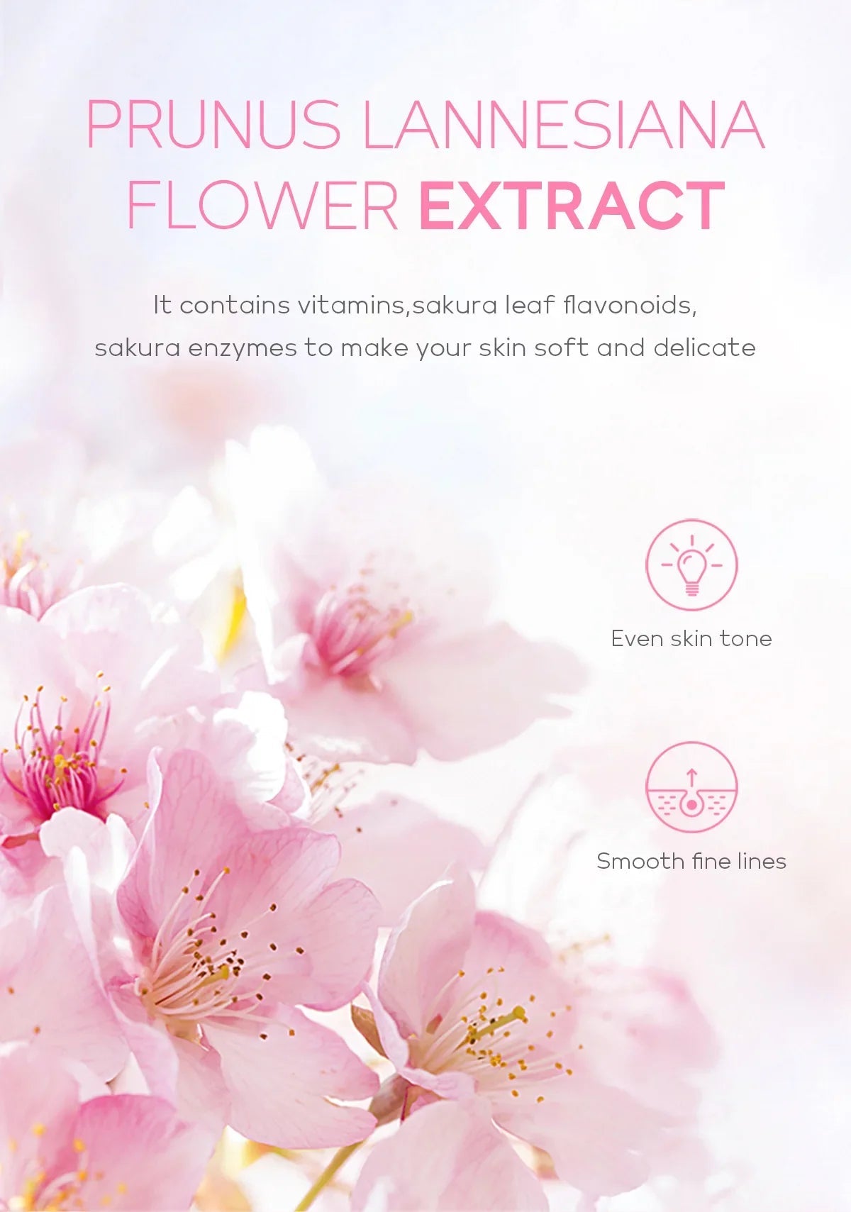 Sakura Face Deep Cleaning Exfoliating Gel Skin Care Whitening Moisturizer Repair Facial Scrub Skin Care 60g - Cozy & Co. Market