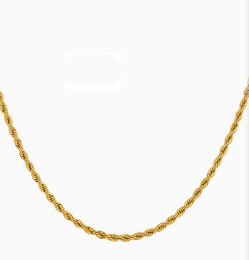 Trendy 18K Gold Plated Stainless Steel Twist Chain Necklace - Cozy & Co. Market