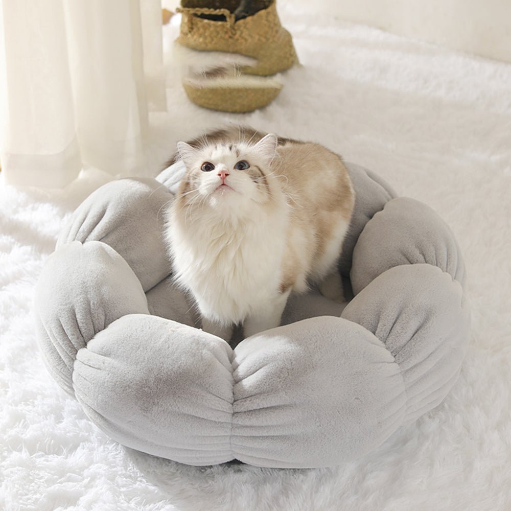 Universal Washable Cat and Dog Bed - Cozy & Co. Market