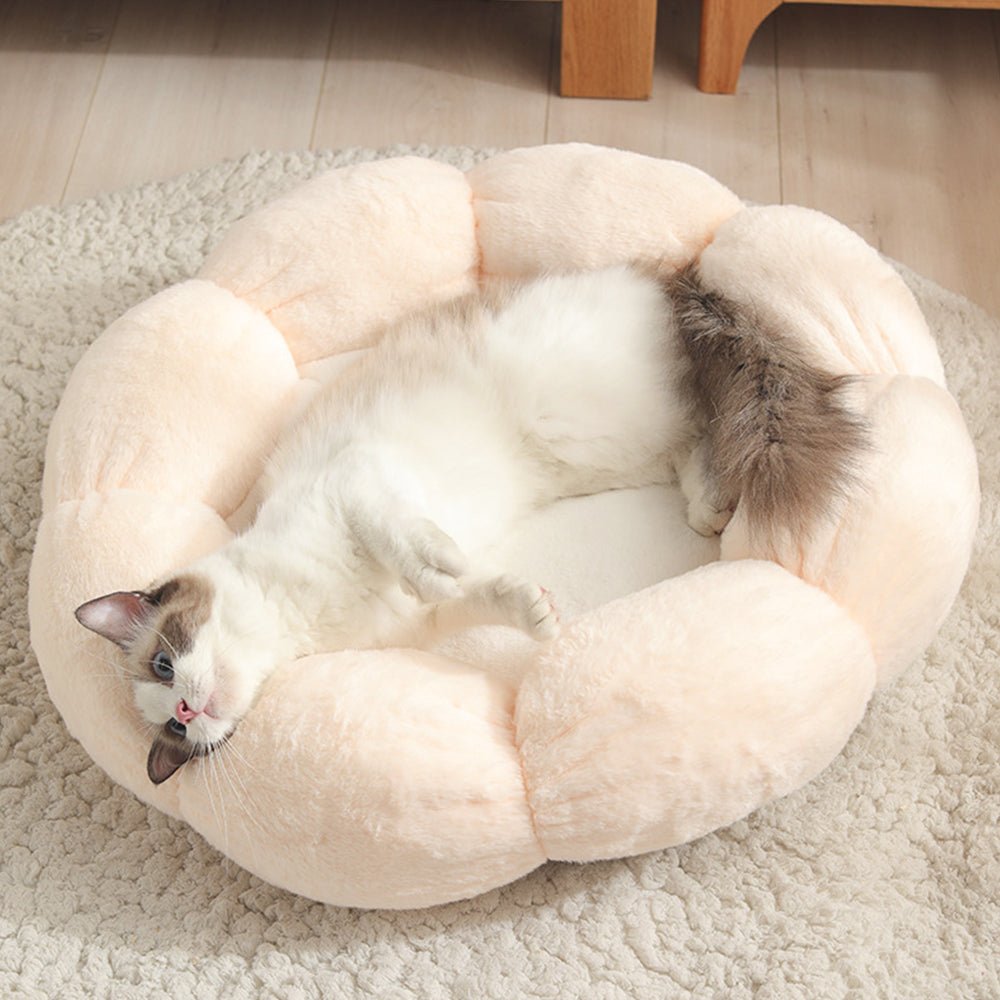 Universal Washable Cat and Dog Bed - Cozy & Co. Market
