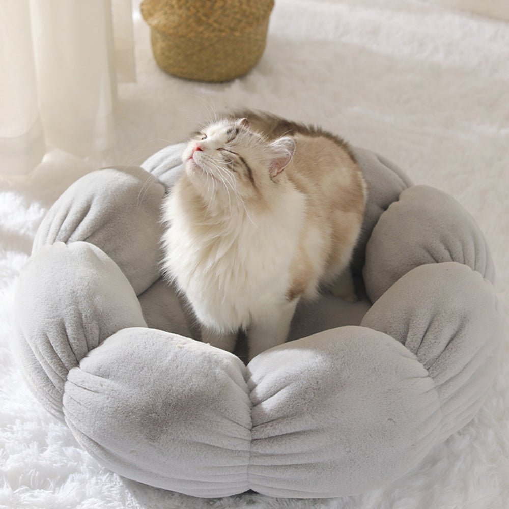 Universal Washable Cat and Dog Bed - Cozy & Co. Market