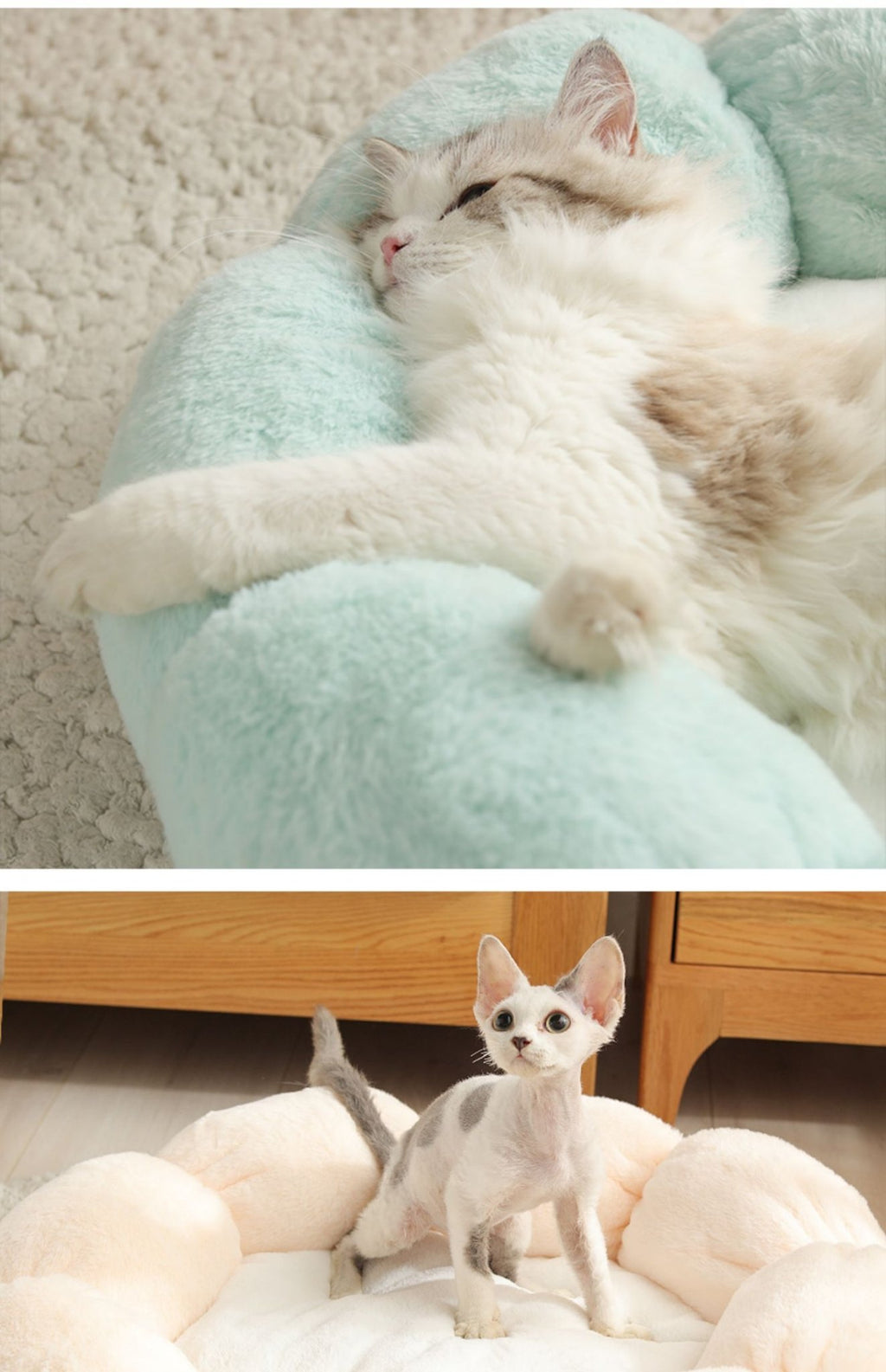 Universal Washable Cat and Dog Bed - Cozy & Co. Market