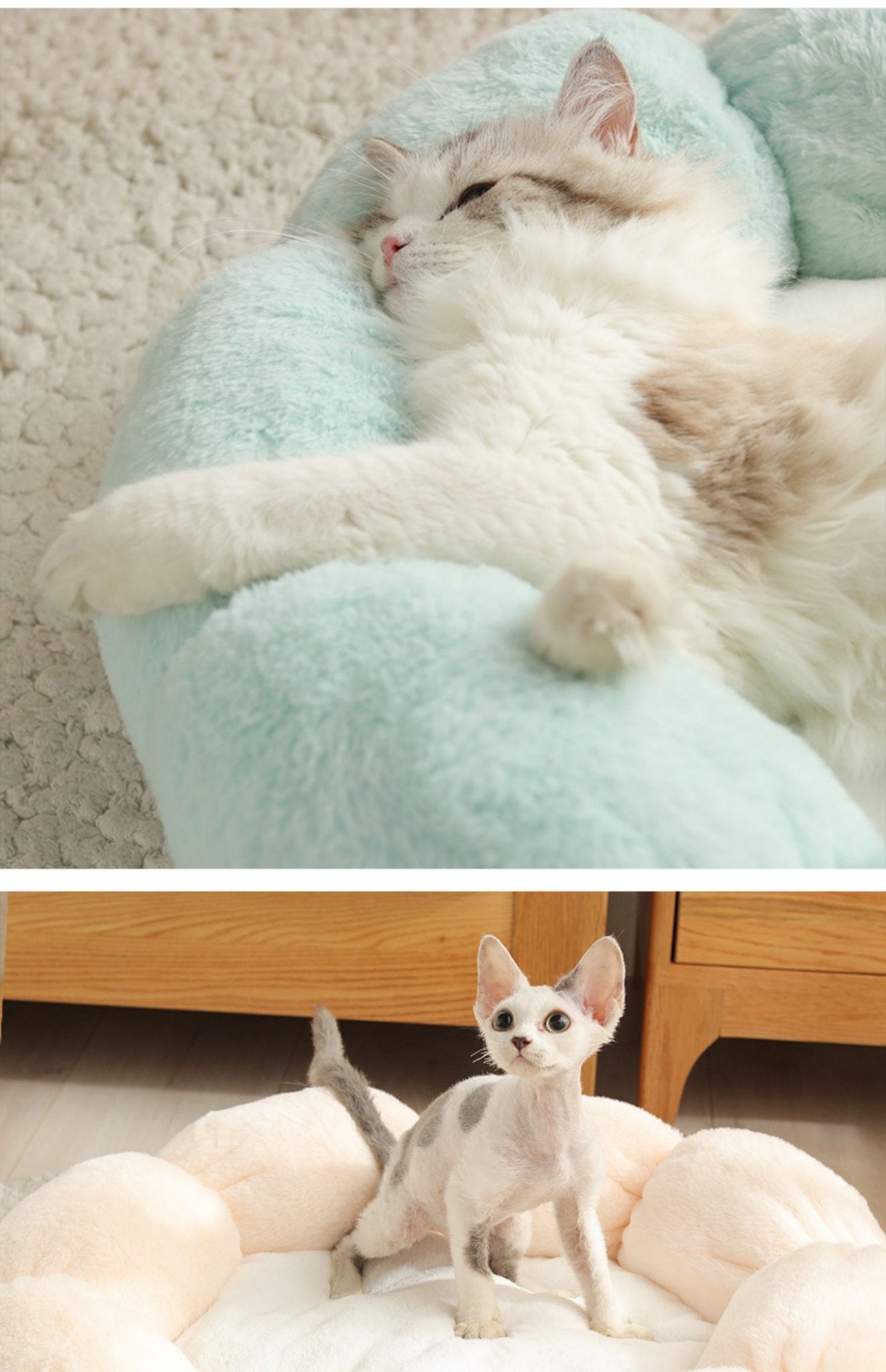 Universal Washable Cat and Dog Bed - Cozy & Co. Market