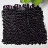 Wholesale Price Raw Burmese Curly Hair Bundles Raw Virgin Hair Vietnamese Burmese Curly Double Drawn Virgin Human Hair Bundles - Cozy & Co. Market